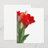 Carte Tulips (Devant / Derrière)