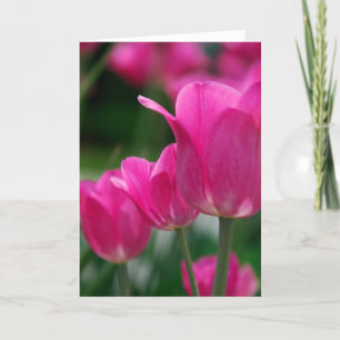 Carte Tulips
