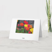 Carte Tulips Brights (Dos)