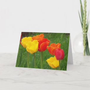 Carte Tulips Brights