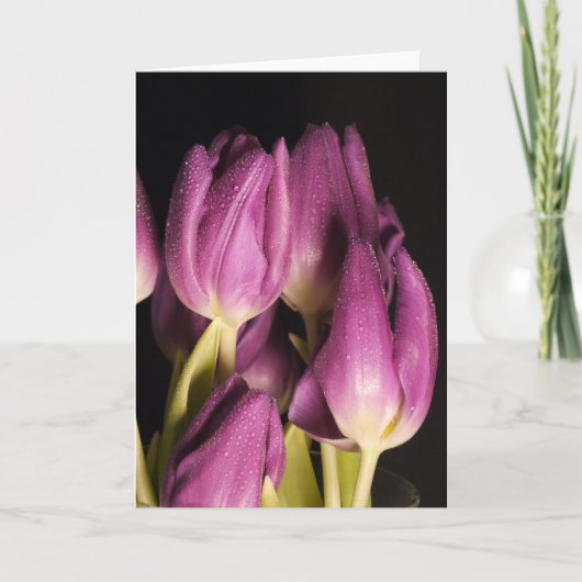 Carte Tulips violet (Devant)