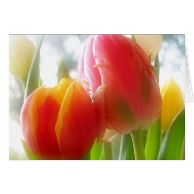 carte tulipsDEUXgether (Devant horizontal)