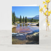 Carte Tuolumne River à Tuolumne Meadows, Yosemite, CA (Fleur jaune)