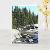 Carte Tuolumne River à Tuolumne Meadows, Yosemite, CA (Fleur jaune)