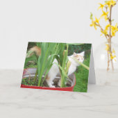 CARTE TURKISH VAN DIT **JEUX ANNIVERSAIRE D'AVRIL** (Fleur jaune)