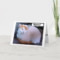 TURKISH VAN DONNE DES CONSEILS SUR LA FAÇON DE PRO