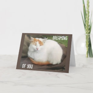 CARTE TURKISH VAN VOUS DIT "JOLIE JOUR DE DIPLÔME" !