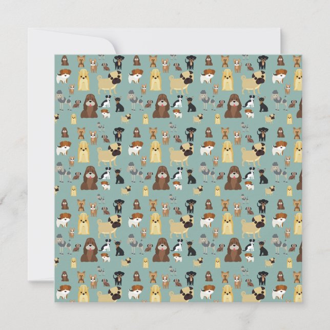 Carte turqouise backgrogs dogs (Devant)