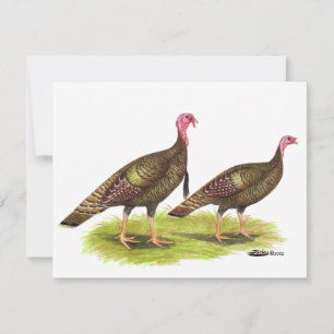 Carte Turquie : Bronze sauvage