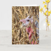 Carte Turquie dans le domaine du soja (Fleur jaune)