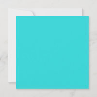 Turquoise Moyen Couleur Uni