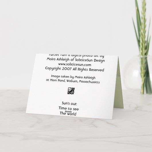 Carte Turtles Turn (Dos)