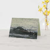 Carte Turtles Turn (Fleur jaune)