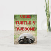 Turtley Awesome Anniversaire Voeux pour une Etoile
