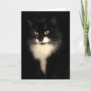 Carte Tuxedo Cat