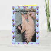 Carte Tuxedo Cat Cute Funny Air Kneading Cats Viola Card (Devant)
