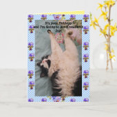 Carte Tuxedo Cat Cute Funny Air Kneading Cats Viola Card (Fleur jaune)