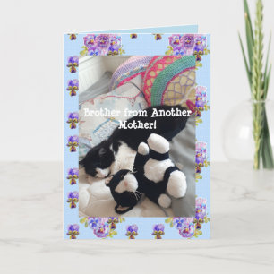 Carte Tuxedo Cat Cute Funny Brother Cats Card