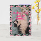 Carte Tuxedo Cat Cute Funny Quote Air Kneading Card (Fleur jaune)