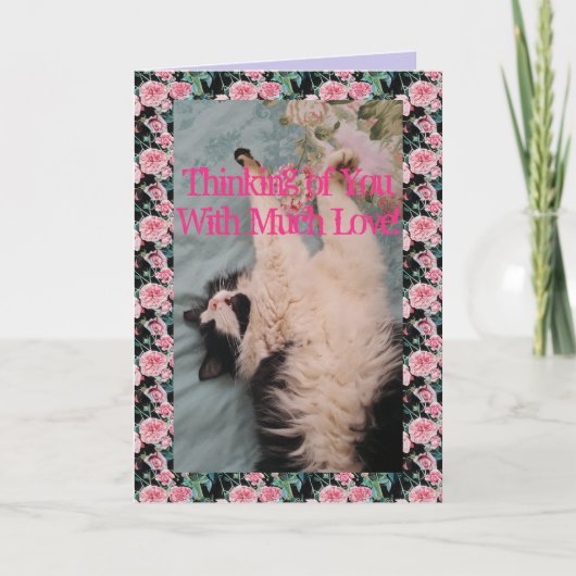 Carte Tuxedo Cat Cute Funny Quote Air Kneading Card (Devant)