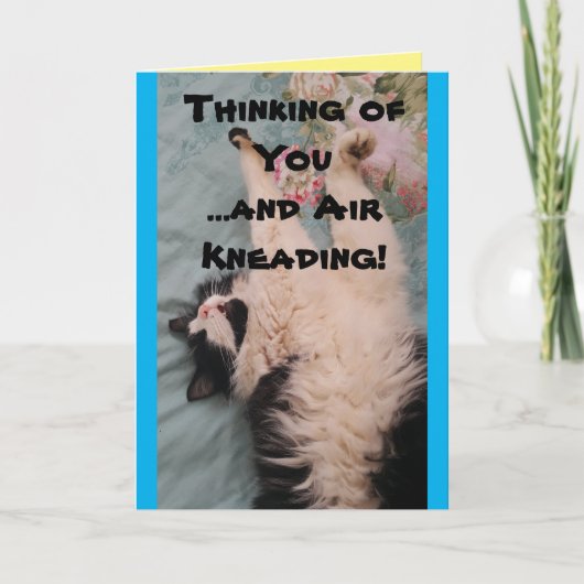 Carte Tuxedo Cat Cute Funny Quote Air Kneading Card (Devant)
