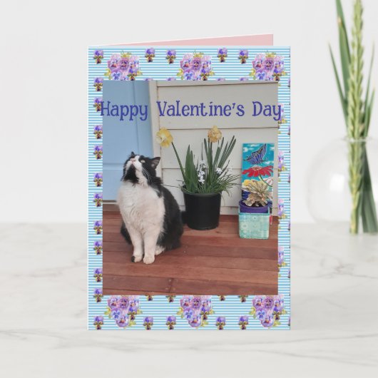Carte Tuxedo Cat Funny Cute Cats Valentines Day Blue (Devant)
