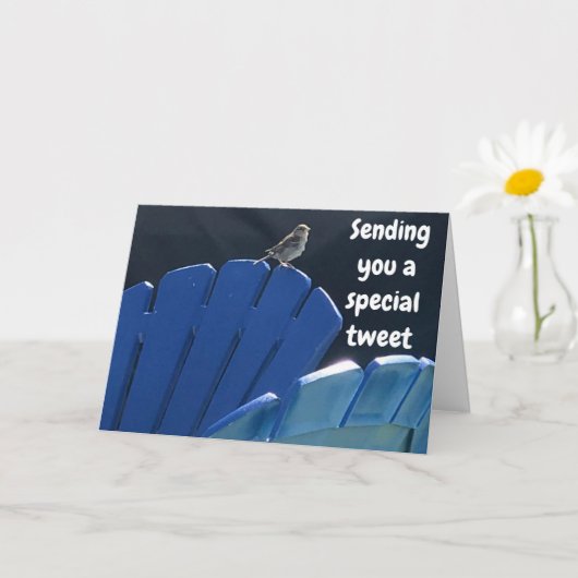 Carte TWEETING **13ème ANNIVERSAIRE VOUS SOUHAITE** (Petite plante)