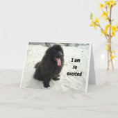 CARTE TWIN J'AIME PARTAGER MON ANNIVERSAIRE AVEC "VOUS" (Fleur jaune)