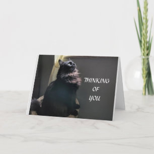 CARTE ***TWIN*** POUR VOTRE ANNIVERSAIRE