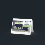 CARTE **TWIN** SOUHAITE QUE JE PUISSE DIRE HEUREUX ANNIV<br><div class="desc">LAISSEZ "VOTRE VIE" SAVOIR COMBIEN ELLE SIGNIFIE "VOUS" AVEC CETTE TRÈS **SUEET PUPPY** QUI LUI PERMETTRA DE VOUS CONNAÎTRE "VRAIMENT SOUHAITE" QUE VOUS POURRIEZ DIRE ***JOUR ANNIVERSAIRE EN PERSONNE****</div>