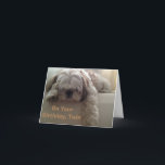 CARTE **TWIN** SOUHAITE QUE JE PUISSE DIRE HEUREUX ANNIV<br><div class="desc">LAISSEZ "VOTRE VIE" SAVOIR COMBIEN ELLE SIGNIFIE "VOUS" AVEC CETTE TRÈS **SUEET PUPPY** QUI LUI PERMETTRA DE VOUS CONNAÎTRE "VRAIMENT SOUHAITE" QUE VOUS POURRIEZ DIRE ***JOUR ANNIVERSAIRE EN PERSONNE****</div>