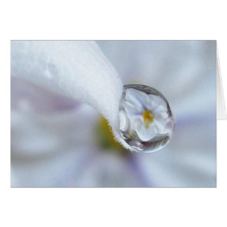 Carte Twinkle Twinkle