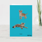 Carte Twist Mignon de Tabby (Dos)