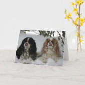 Carte Two Cavaliers dans le Snow 08-01a (Fleur jaune)