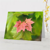 Carte Two maple leaves (Fleur jaune)