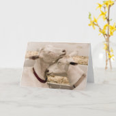 Carte Two of a Kind Loving Goat Couple (Fleur jaune)