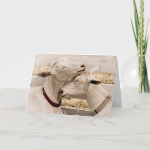 Carte Two of a Kind Loving Goat Couple