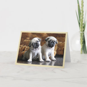 Carte Two Pugs Greeting Card