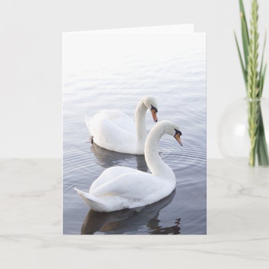 Carte Two Swans Swimming on Tranquil Lake (Devant)