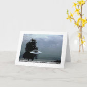 Carte Type de Fonctionnaire de Semjase (Fleur jaune)