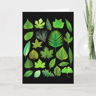 Carte Types De Feuilles D'Arbre Biologie Nature Éducatio