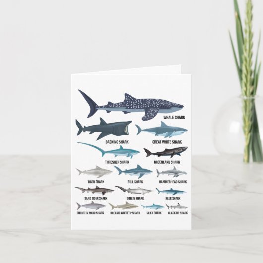 Carte Types De Requins Espèces De Requin Identification  (Devant)