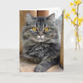 Carte tzigane (Fleur jaune)