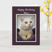 Carte Uma Joyeux Anniversaire Chat Blanc (Fleur jaune)