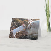 Carte Un amour de mère (Devant)