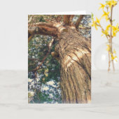 Carte Un arbre des plus beaux (Fleur jaune)