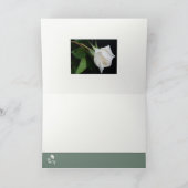 Carte Un arc au matin (Intérieur)