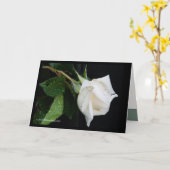 Carte Un arc au matin (Fleur jaune)