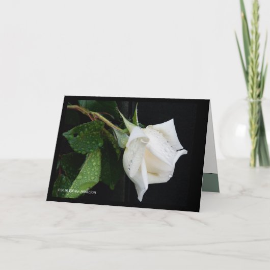 Carte Un arc au matin (Devant)