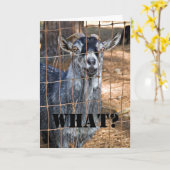 Carte Un autre anniversaire ? (Fleur jaune)